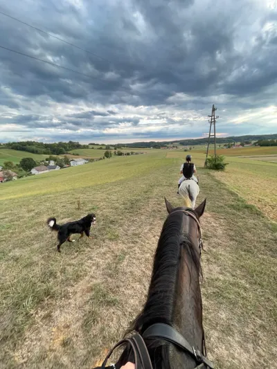 Afternoon Ride photo 1