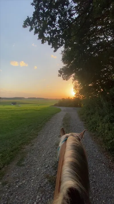 Evening Ride photo 1