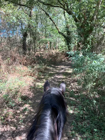 Sortie du matin photo 1