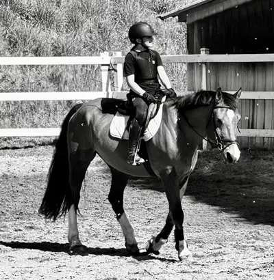 Cavalcata photo 1