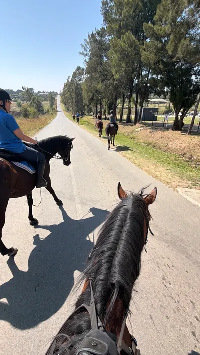 Morning Ride photo 1
