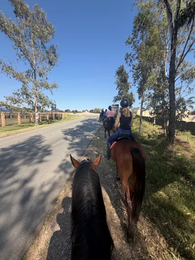 Morning Ride photo 3