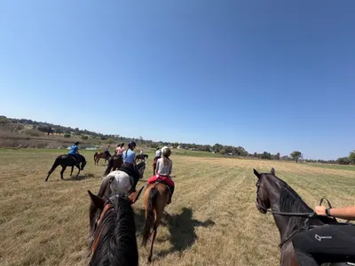 Morning Ride photo 6