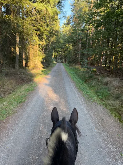Nachmittagsritt photo 1