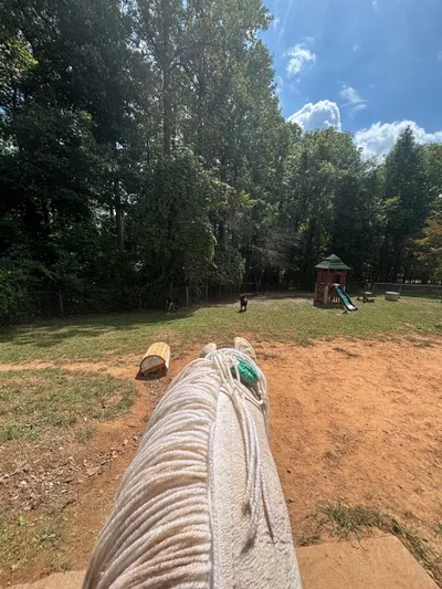 Afternoon Ride in yard  photo 1