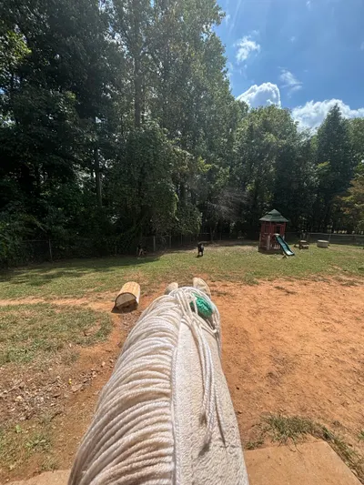 Afternoon gallop went 35 mph! photo 1