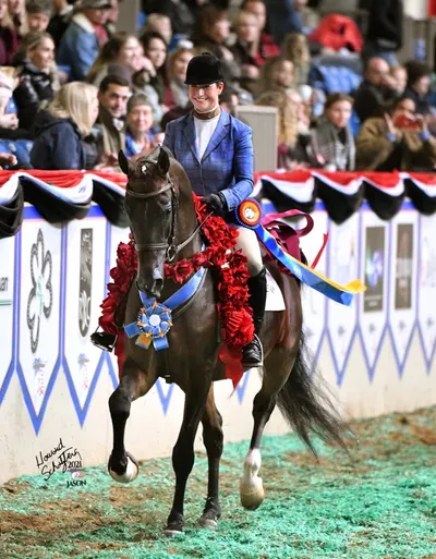 Afternoon Ride ddvehgl&3!!932!39!zille Vern’s letter lll photo 1